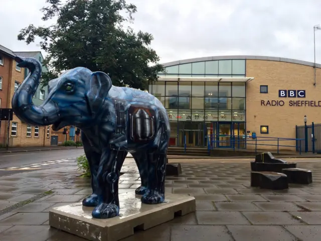 Elephant near BBC Radio Sheffield