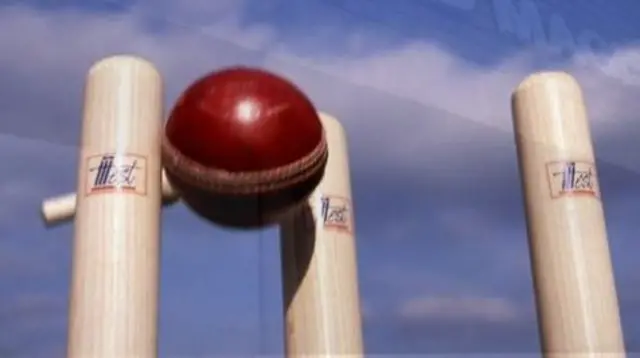 Ball and cricket stumps