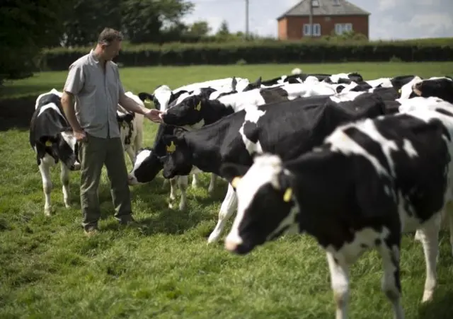 Dairy farmer