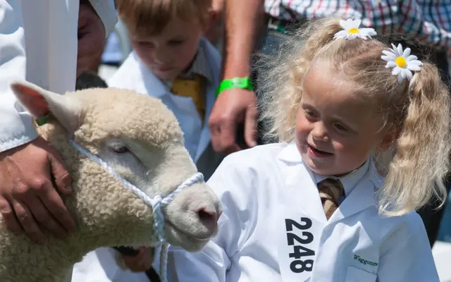 Little girl with sheep