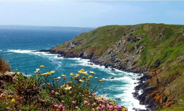 Lizard Point