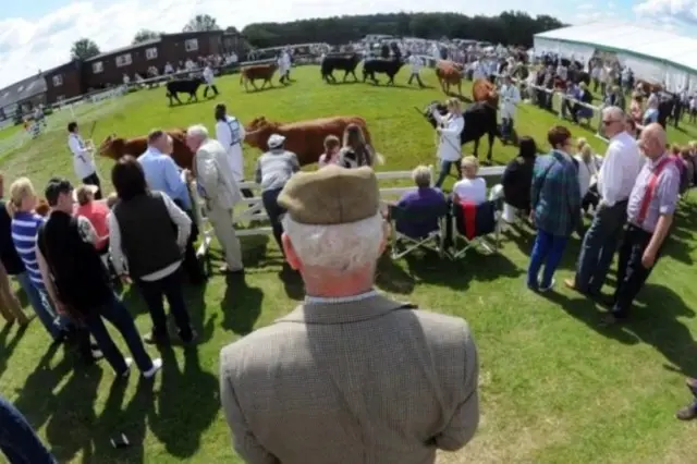 Great Yorkshire Show