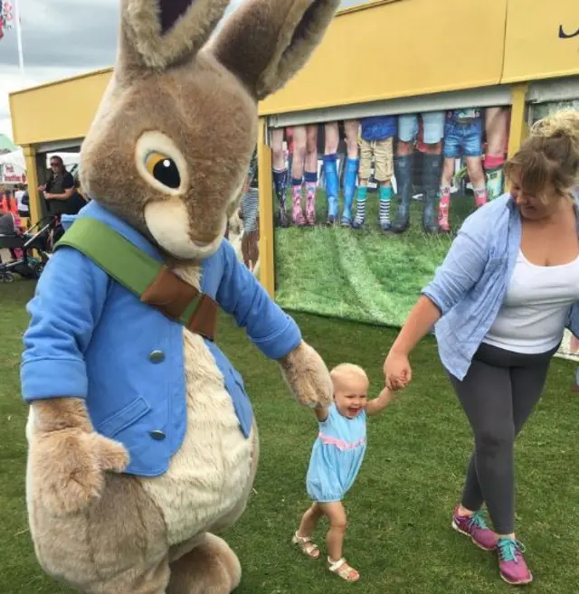 Giant rabbit