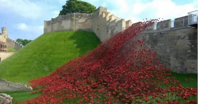 Poppies:wave at Lincoln Castle