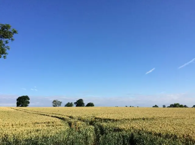 Welton