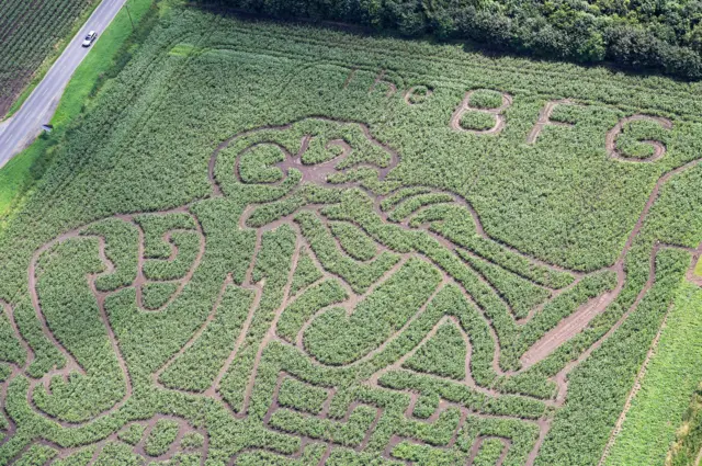 BFG maze