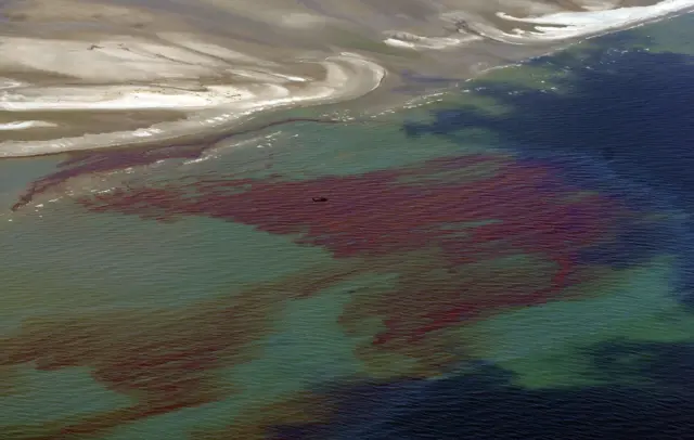 Oil slicks from the BP Deepwater Horizon disaster