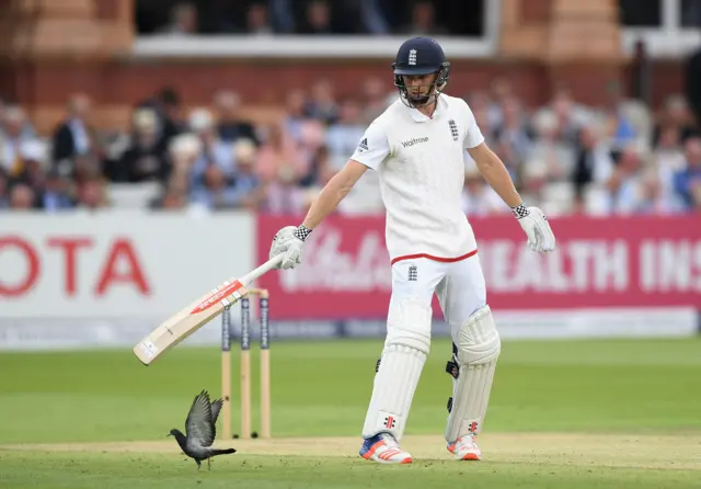 Chris Woakes of England waves away a bird