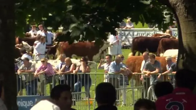 People at the Royal Welsh show