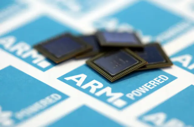 Microchips