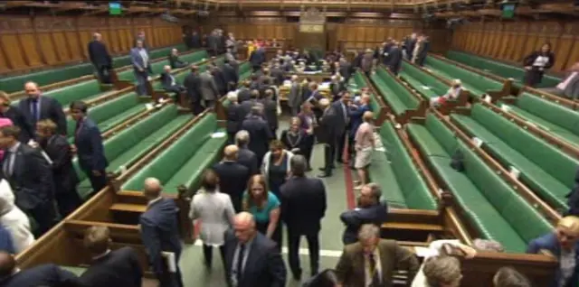 MPs file out of the House of Commons