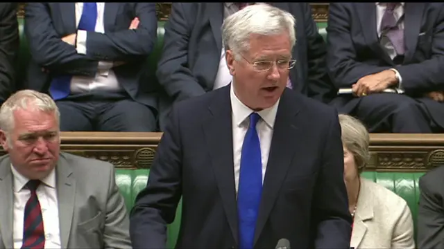 Defence Secretary Michael Fallon