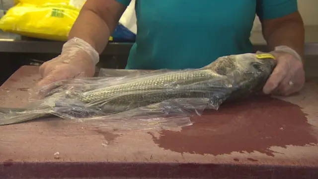 Fish on counter