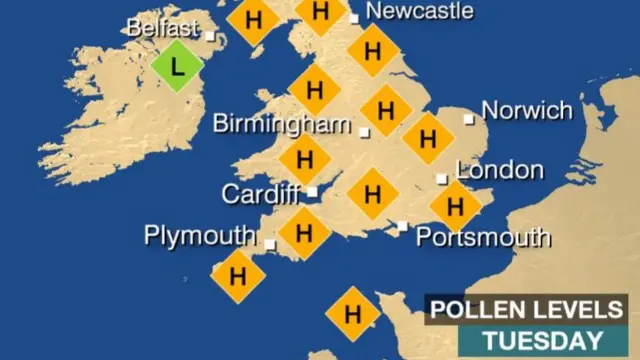 Pollen levels