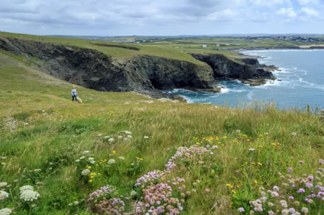 Trevose Head