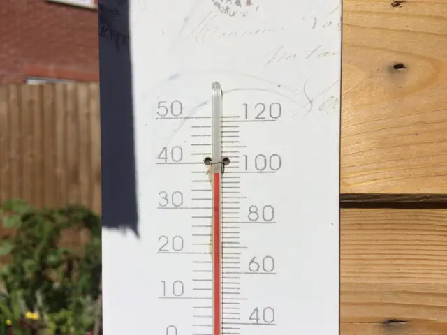 Thermometer