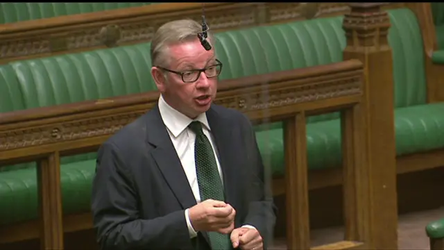 Former justice secretary Michael Gove