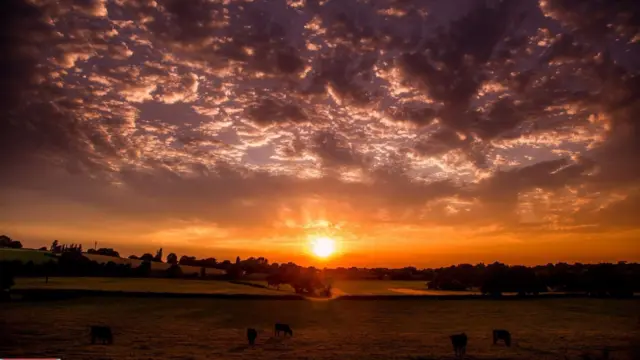 Sun setting over Audley