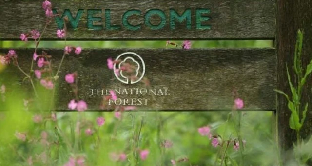 The National Forest celebrating its 25th anniversary