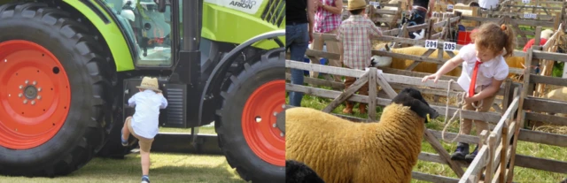 Child climbing tractor and child stroking a sheep