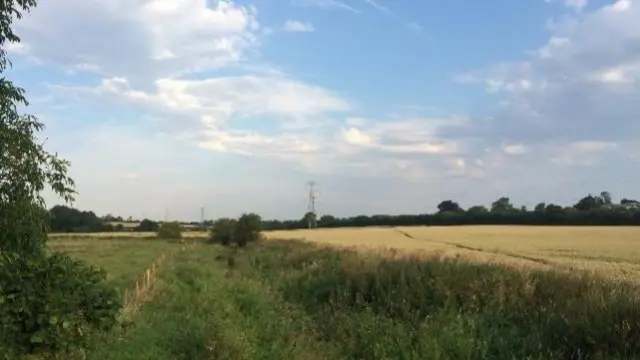 A field in Lilbourne