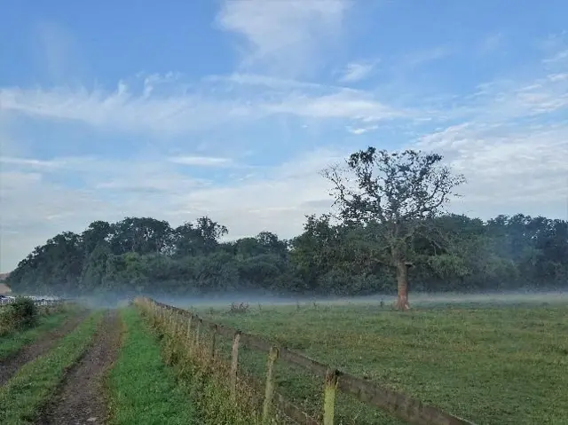 Misty field