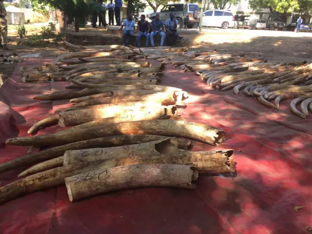 Feisal is charged with trafficking in, and possession of, 413 pieces of Ivory