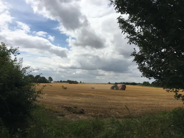 Harvesting in south Norfolk