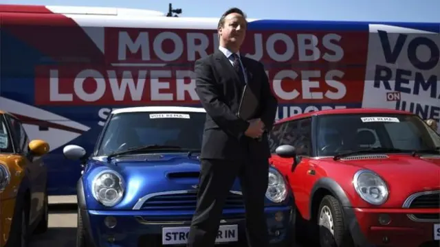 David Cameron during the referendum campaign