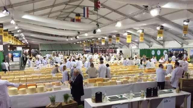 Cheeses under a vast tent being judged