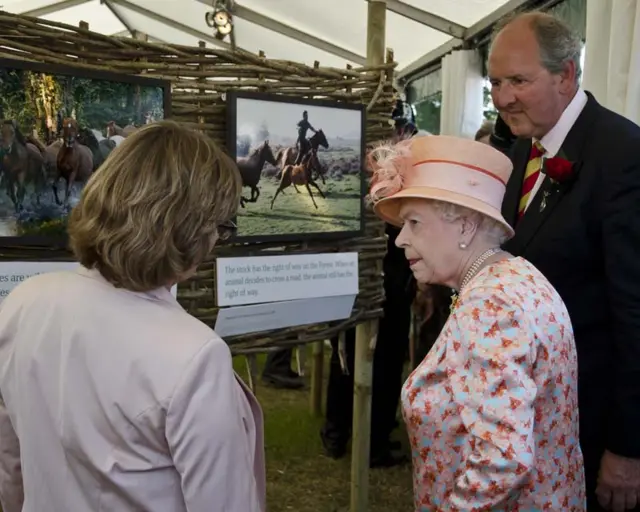 Queen at New Forest show 2012