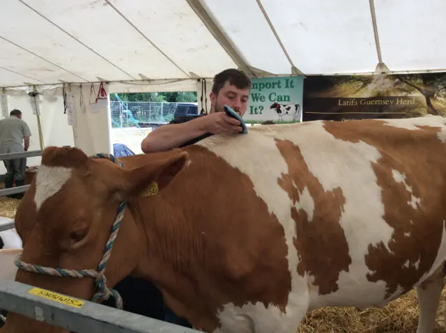 Farmer shaving