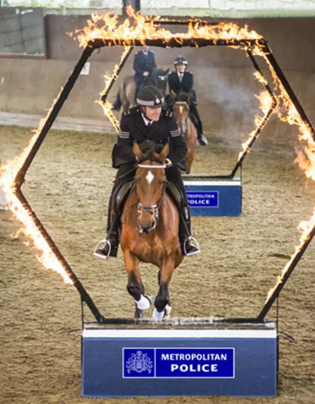 Met Police mounted unit