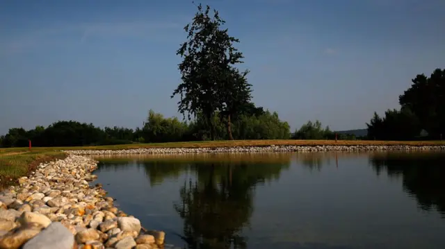 Generic image of the edge of a lake on a sunny day