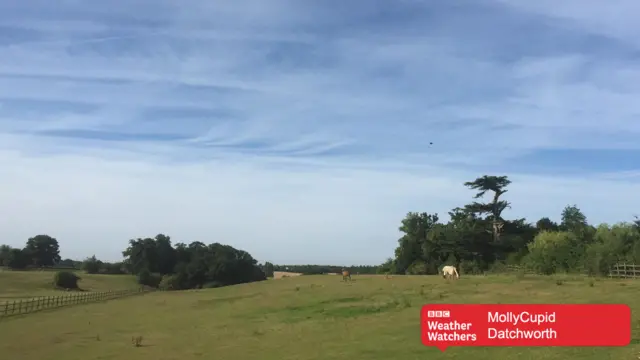 Blues skies over a field in Datchworth