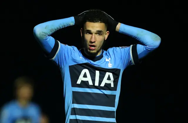 Nabil Bentaleb