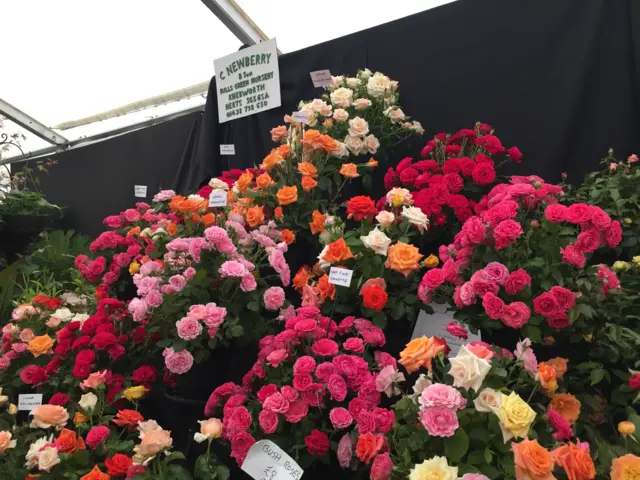 Display of flowers, Sandringham