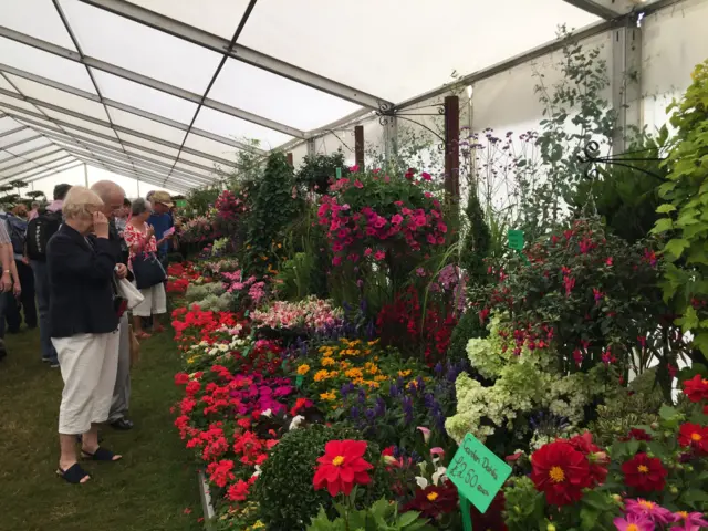 Display of flowers, Sandringham