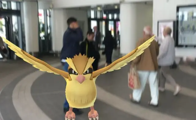 A pidgie at Birmingham New Street Station