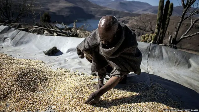 Farmer in Lesotho, 13 July 2016