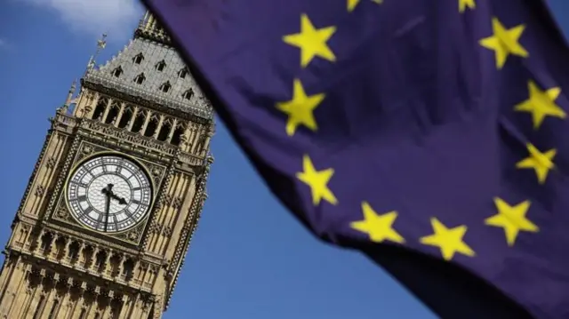 EU flag and Houses of Parliament