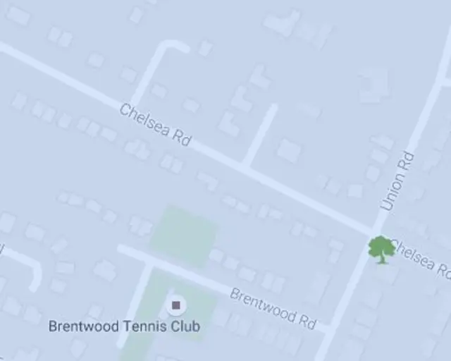 Graphic showing location of tree on Chelsea Road