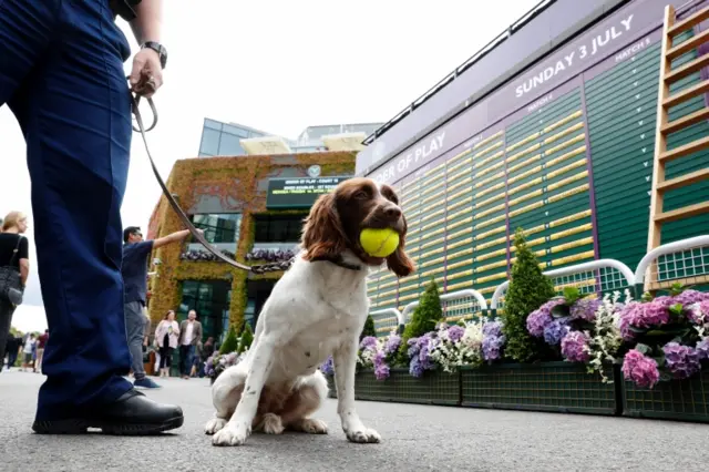 Sniffer dog