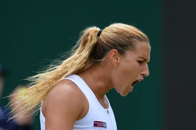 Cibulkova