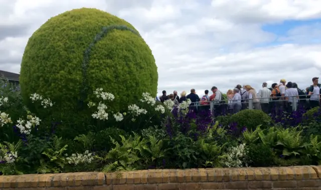 Tennis ball at Wimbledon practice grounds