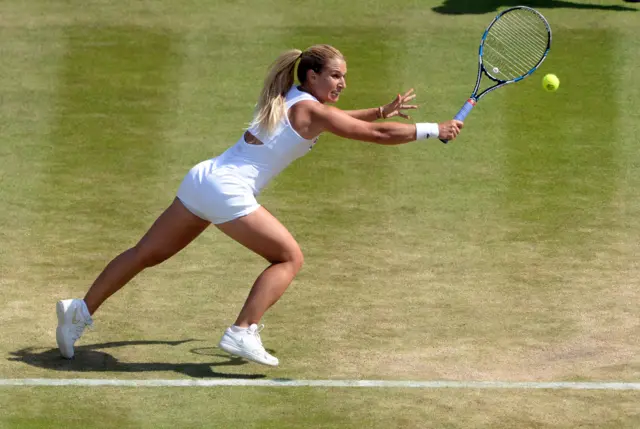 Cibulkova