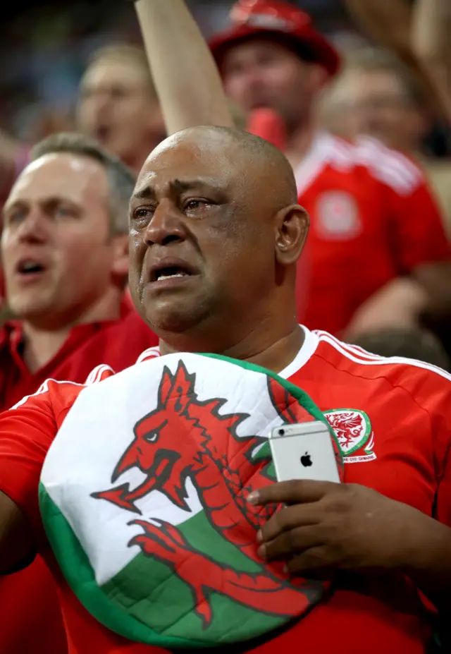 Wales fan cries