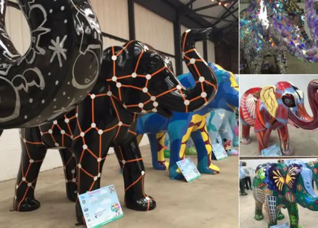 Herd of elephants