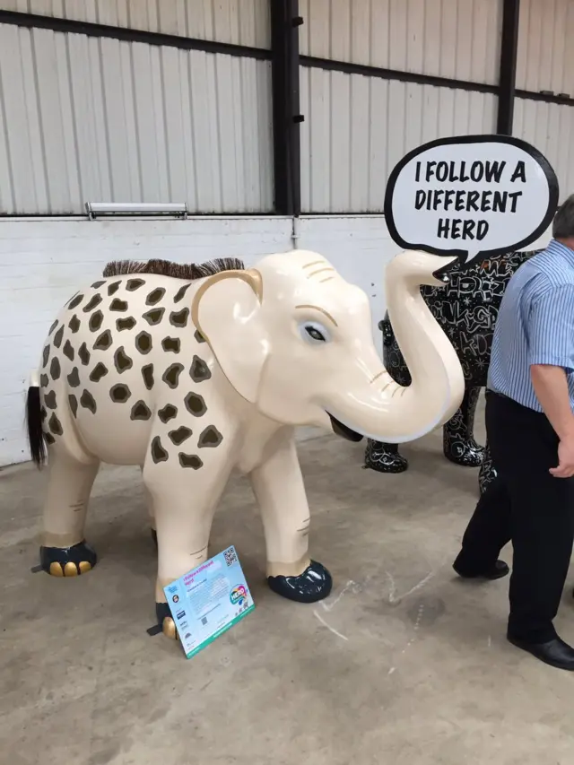 Elehant with giraffe markings