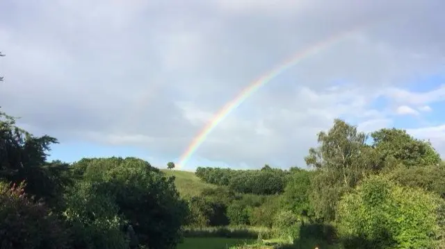 Rainbow and trees